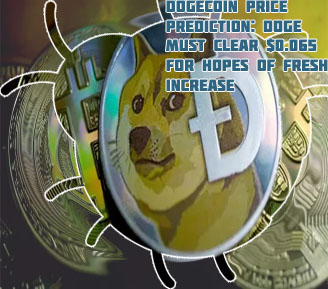 The price of dogecoin