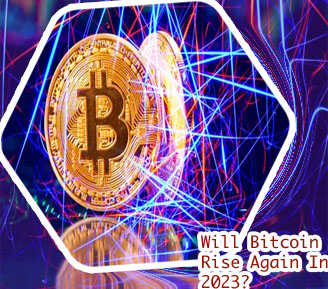 Will bitcoin rise